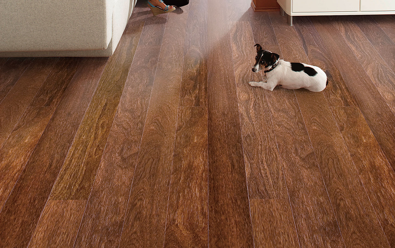 得高Parky進口地板，給家居添上藝術(shù)底色 圖片1