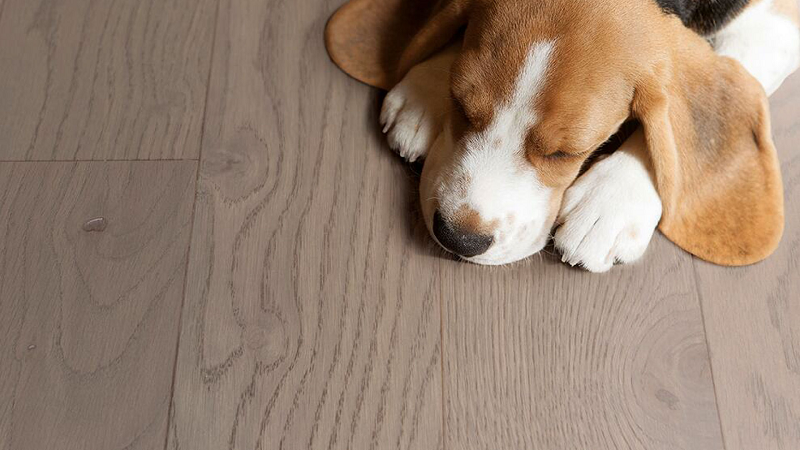 得高環(huán)保地板嚴標(biāo)準(zhǔn)、高品質(zhì)！ 圖片7