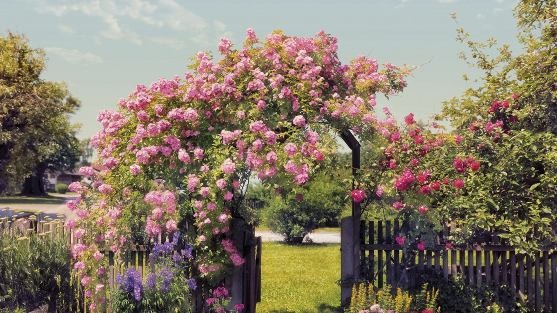 德國(guó)KOMAR藝術(shù)壁畫