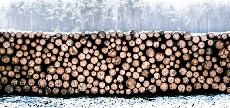 家居采暖好搭檔，解鎖高質(zhì)量“進口地?zé)岬匕濉保?圖片 2