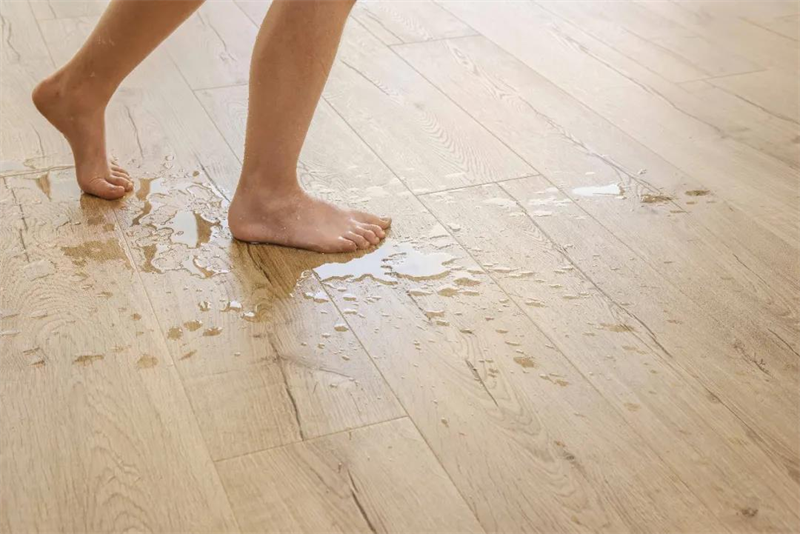 《乘風(fēng)破浪的不止姐姐們，還有這些超帥的騎手》 圖片 7