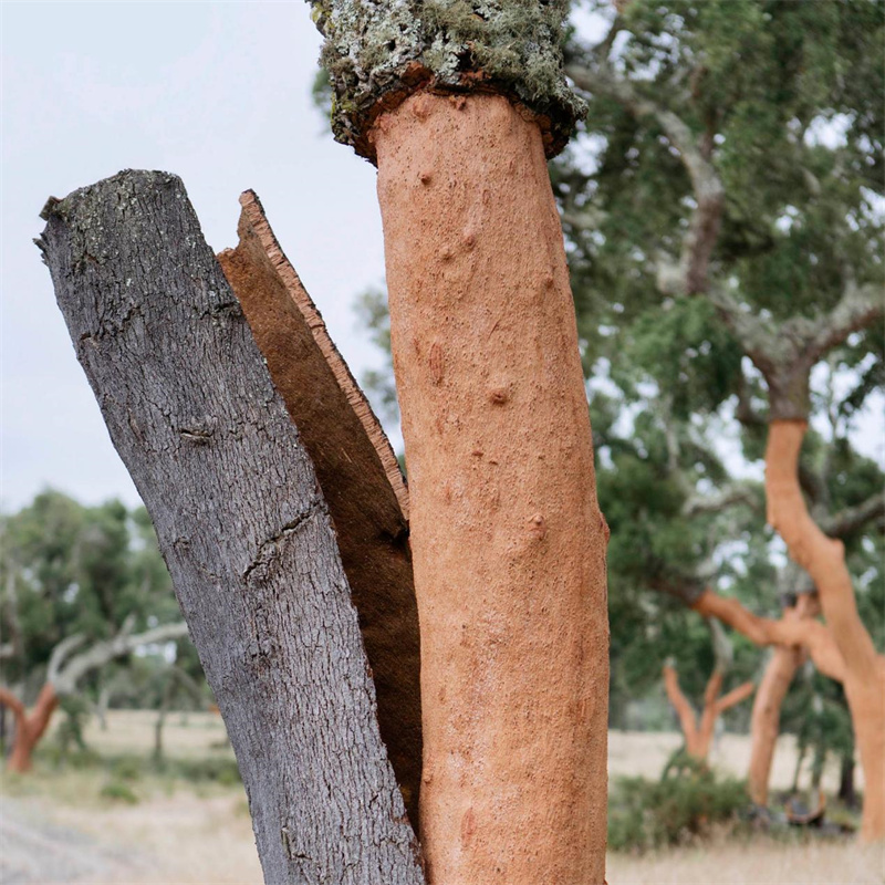 探索健康家居環(huán)境，得高地墻一體推動居住升級 image2