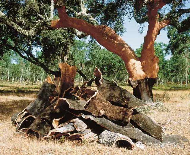 你可以永遠(yuǎn)相信得高品質(zhì)！ image4