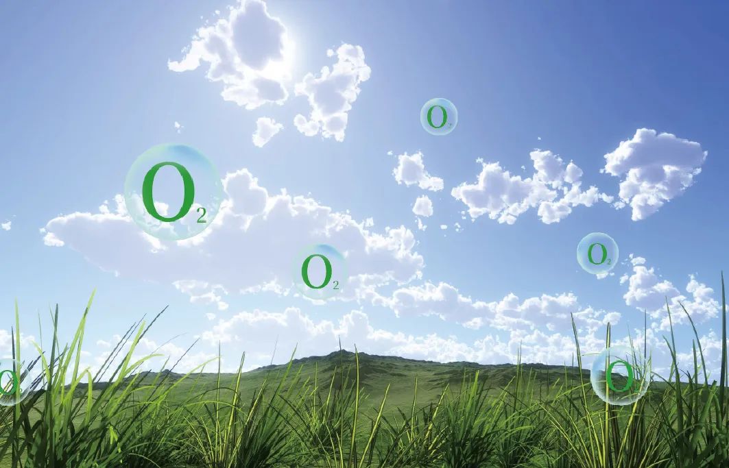 如何養(yǎng)成智慧大腦，讓我們一起探索其中的奧秘 image2