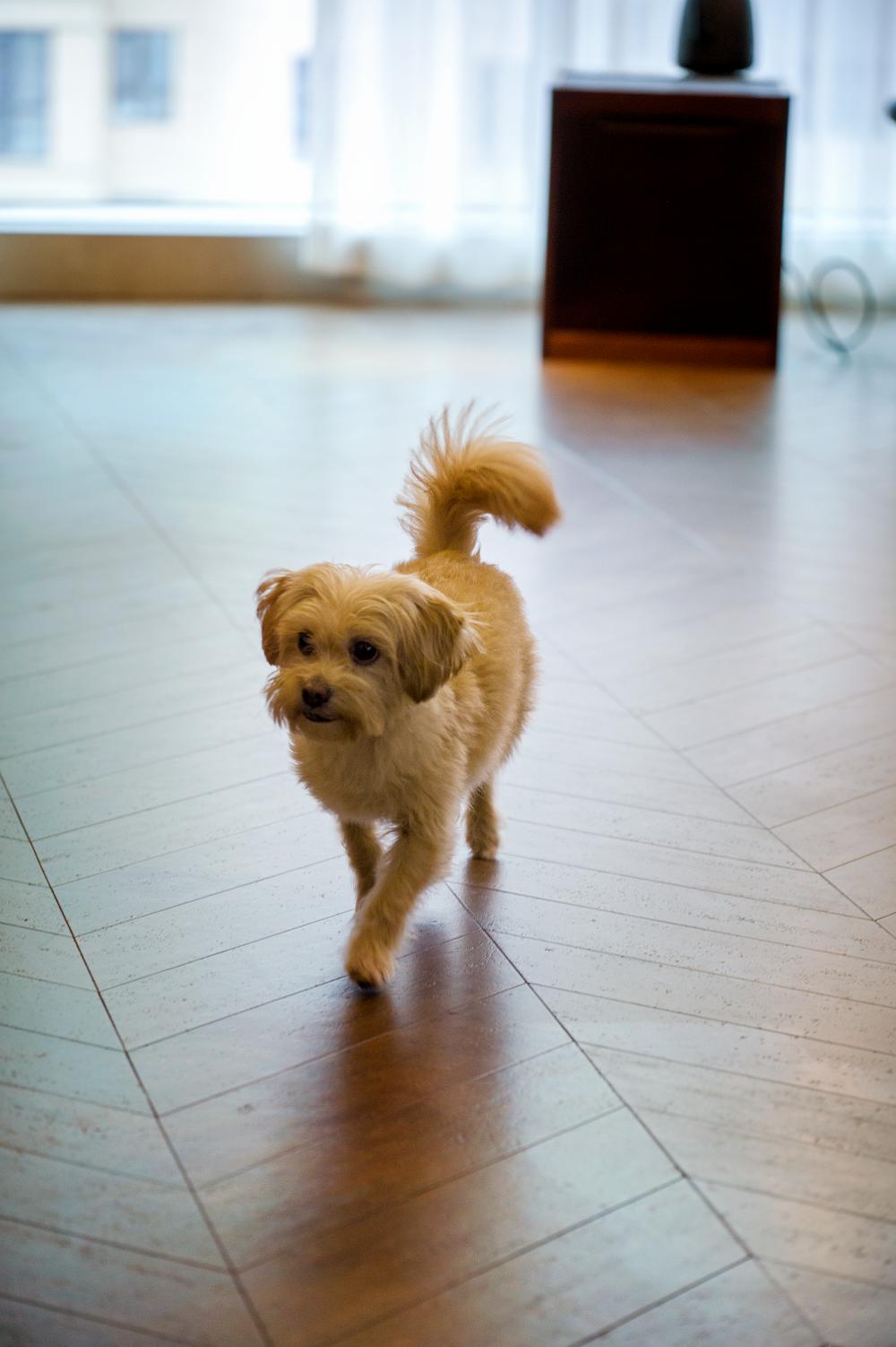 中式風新家的靈魂，居然是這塊軟木地板 圖片12