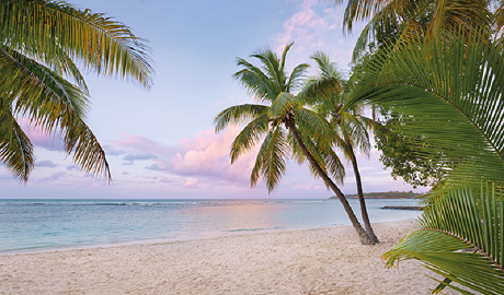 得高墻面材料，改觀家的每一面